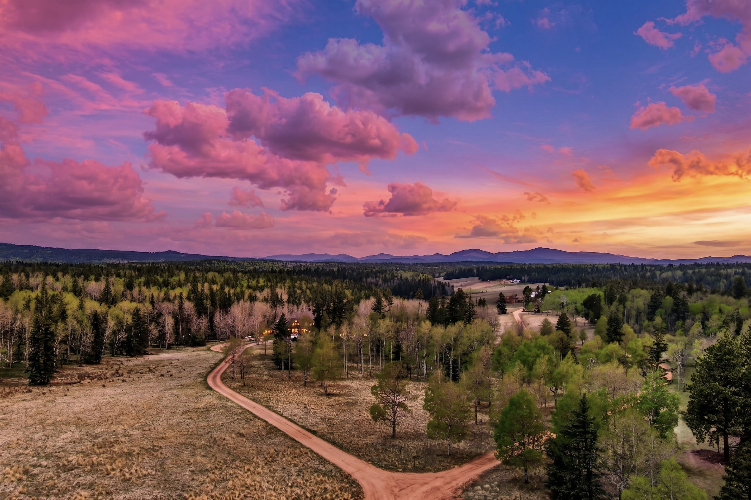 Aerial of the meadow and forest across the property